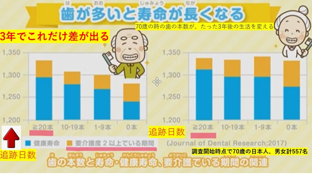 「歯の本数と3年後の生活の質の相関データ」